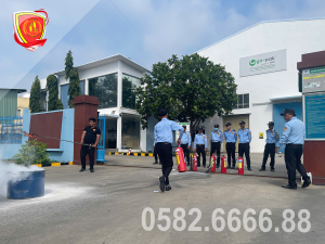 Sự ra đời và phát triển ban đầu của nghề bảo vệ